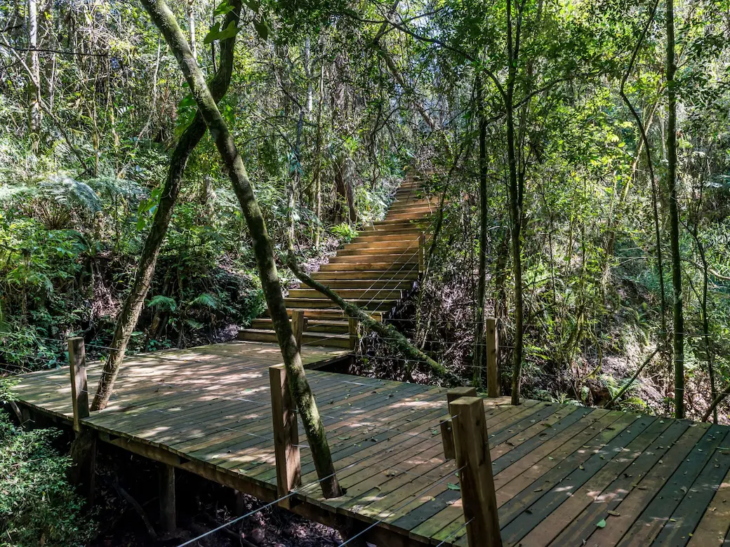 Trilha ecológica do Ninho Verde II